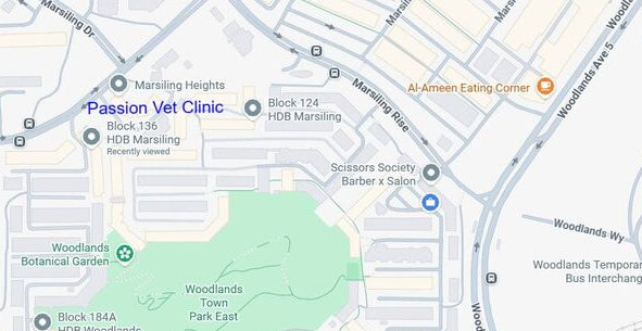 A digital map screenshot centered on the Passion Vet Clinic in HDB Marshing, with surrounding streets, landmarks, and a green park area visible.