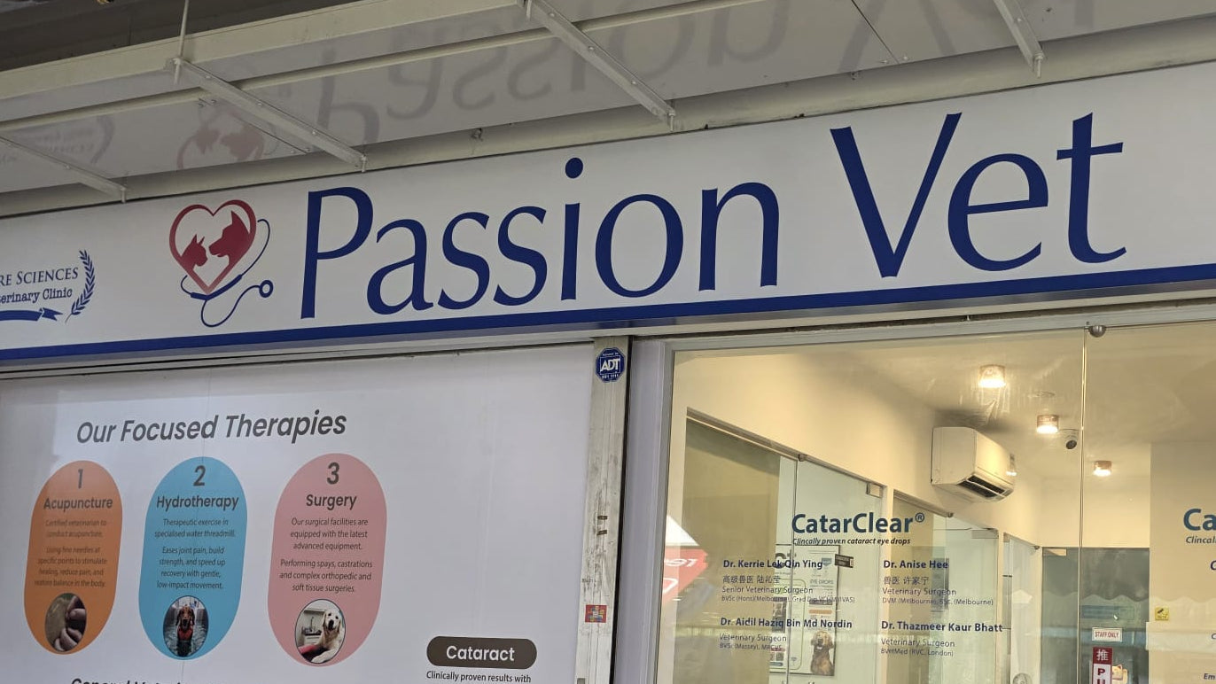 Passion Vet clinic storefront with glass doors, a white signboard with blue text, and interior reception area visible behind the glass.